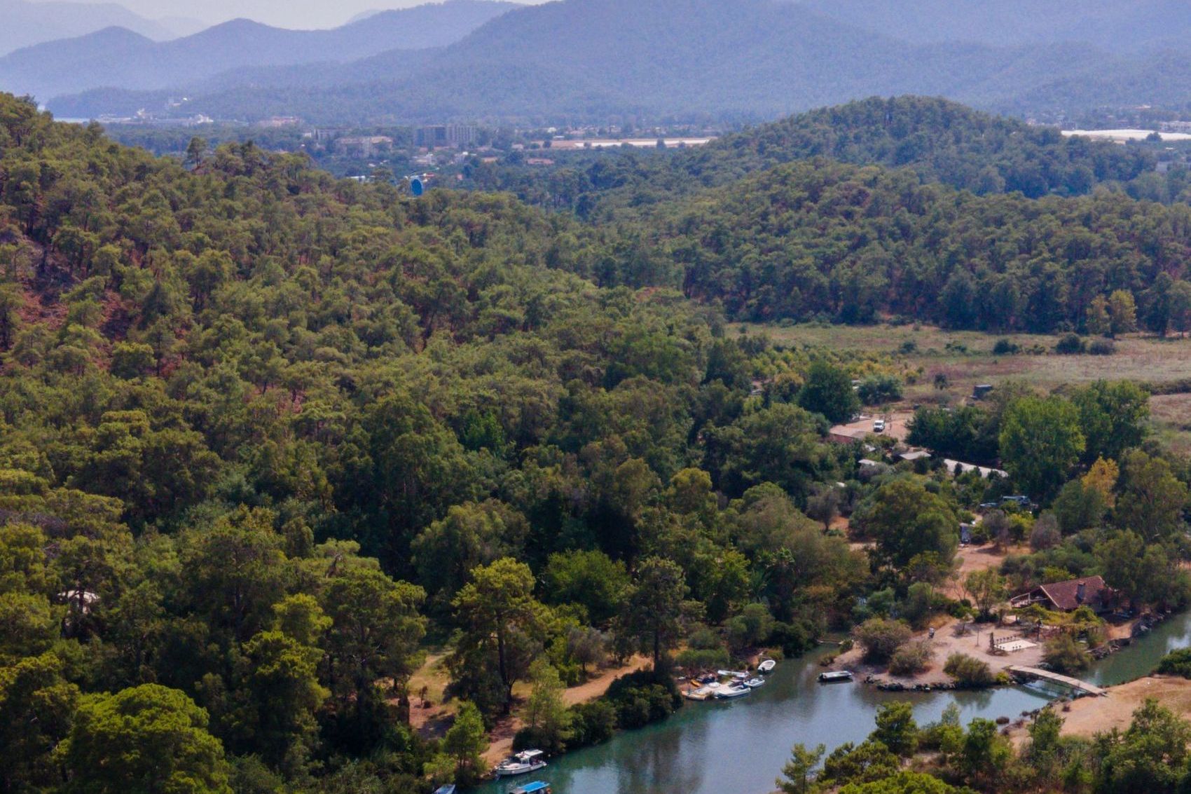 Río entre bosque, gestión ambiental